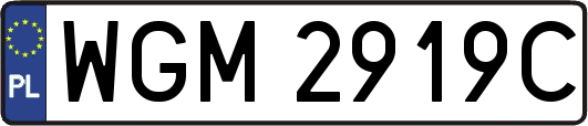 WGM2919C