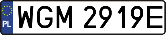WGM2919E