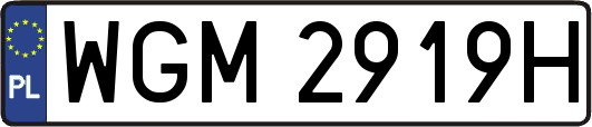 WGM2919H