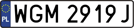 WGM2919J
