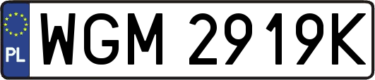 WGM2919K