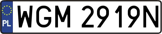 WGM2919N