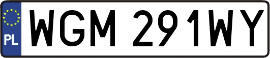 WGM291WY