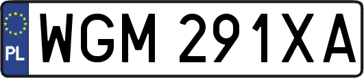 WGM291XA