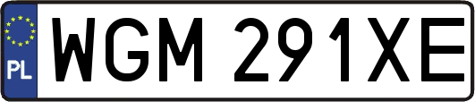 WGM291XE