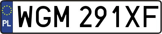 WGM291XF