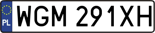 WGM291XH