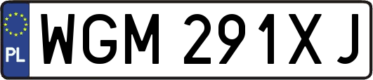 WGM291XJ