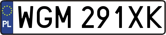 WGM291XK