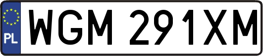 WGM291XM