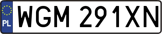 WGM291XN
