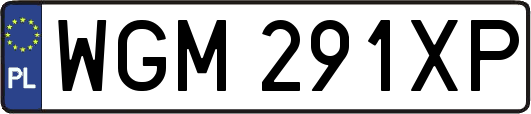 WGM291XP