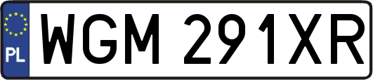 WGM291XR