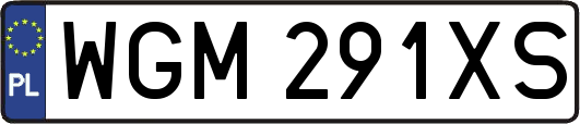 WGM291XS