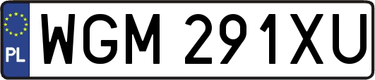WGM291XU