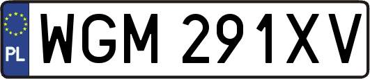 WGM291XV