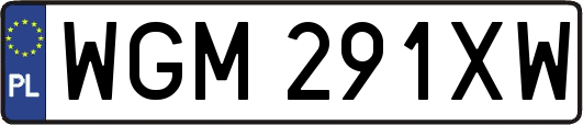 WGM291XW