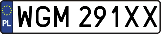 WGM291XX