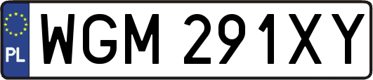 WGM291XY