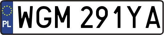 WGM291YA