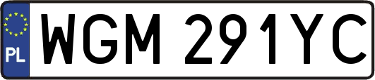 WGM291YC