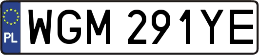 WGM291YE