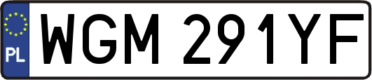 WGM291YF
