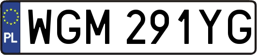 WGM291YG