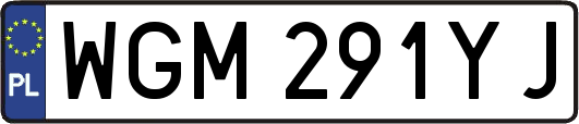 WGM291YJ