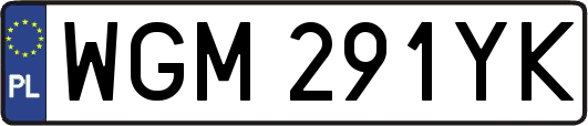 WGM291YK