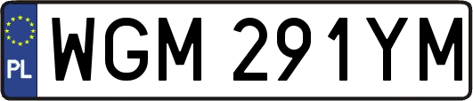 WGM291YM