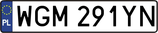 WGM291YN