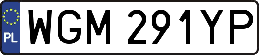 WGM291YP