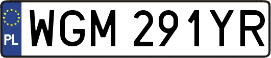 WGM291YR