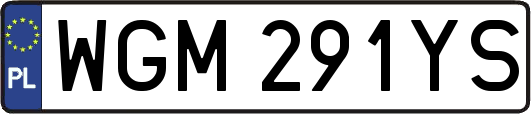 WGM291YS