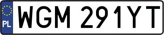 WGM291YT