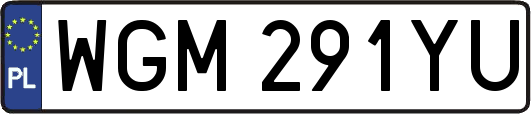 WGM291YU