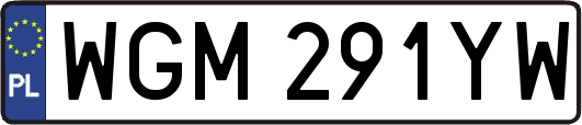 WGM291YW