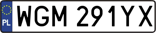 WGM291YX