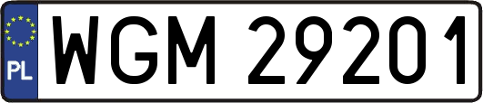 WGM29201