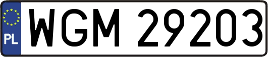 WGM29203