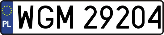 WGM29204