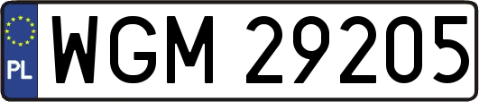 WGM29205