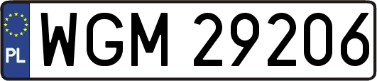 WGM29206