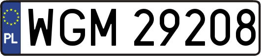 WGM29208