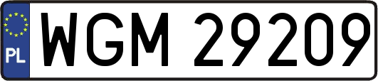 WGM29209