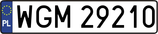 WGM29210