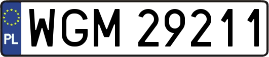 WGM29211