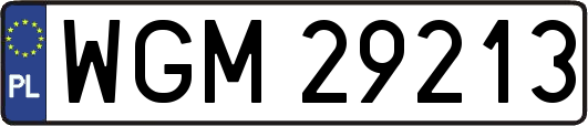 WGM29213