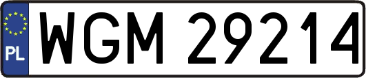 WGM29214